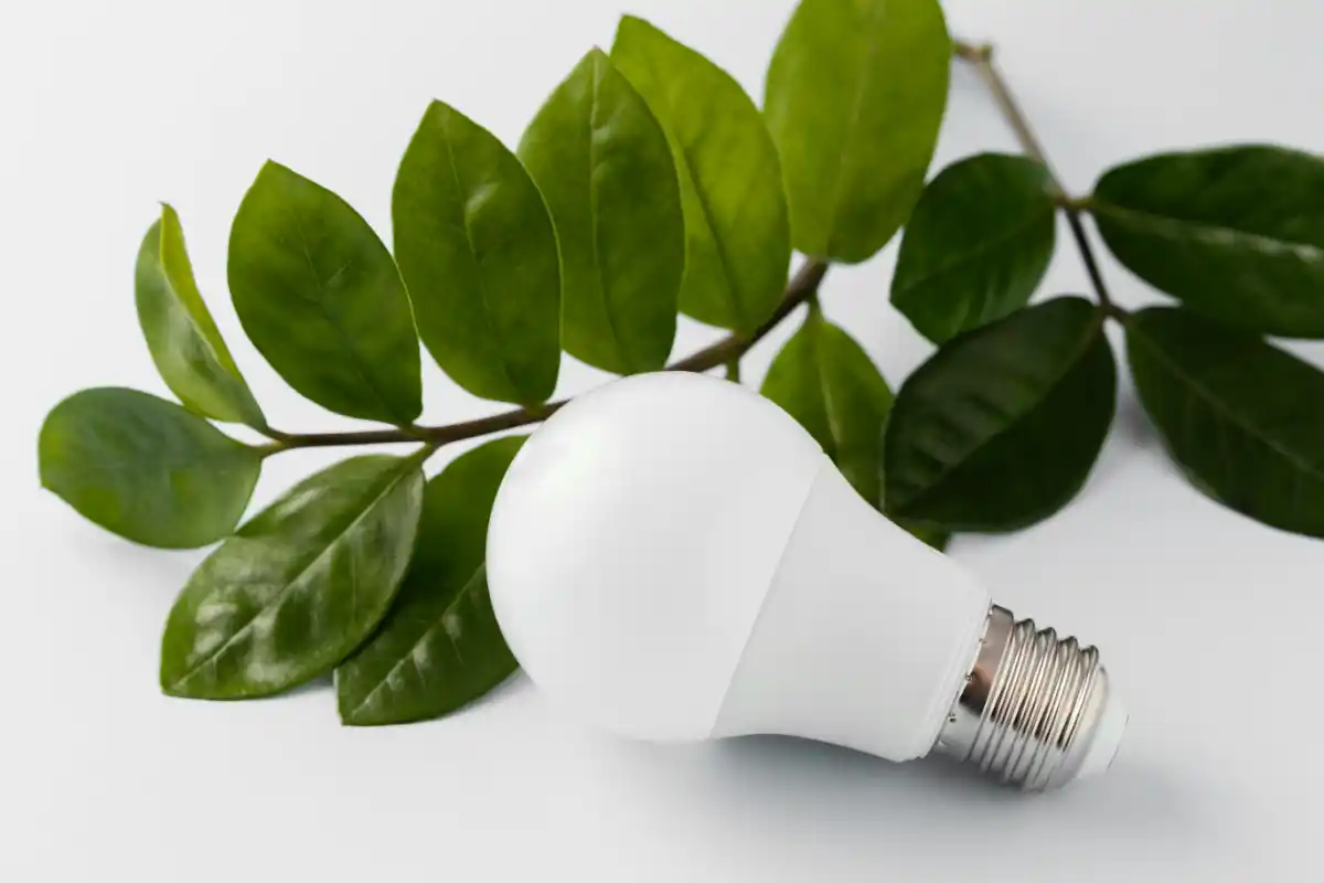 Bitkilerden elektrik üretimi mümkün mü?
