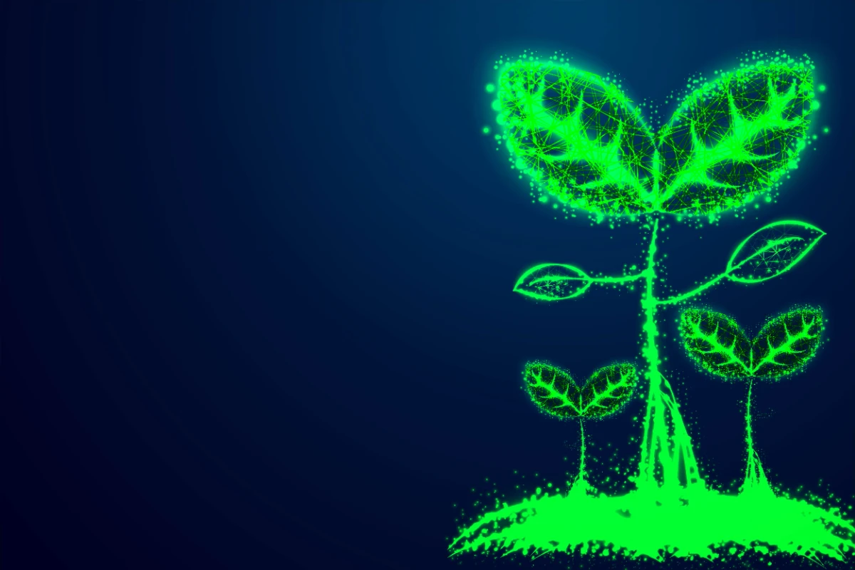 Bşyoenerji nedir? Kaynakları ve faydaları